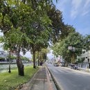 HOTEL이디 이미지