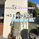 제주구좌카페 제주도여행 이색디저트 찾는다면 간식으로 딱 좋은 커피마신붕어!