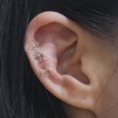 손 혈자리 서금요법 | 귀지압 스티커 헬씨이어 기석 귀지압패치 셀프테라피 후기