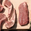 러빙유 카라반 캠핑장 이미지