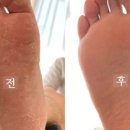 랑데뷰네일 이미지