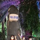 씨유제주표선리점 | 초등 아이와 제주도 2주살기 숙소 찐후기