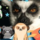 스트릿테이블 이미지