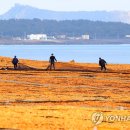 동굴목장 이미지