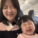 새나라폰 | 4박5일 오키나와 여행기✈️