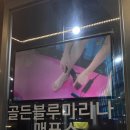 [골든블루마리나] 리무진 요트투어 전체 대여 후기:-)