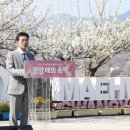 광양매화문화관 이미지