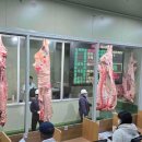 홍성한우 이미지