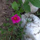 (주)송아 이미지