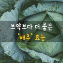 더좋은 이미지
