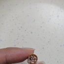 라이펙스 이미지