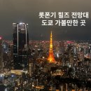 스카이텍 | 롯폰기 힐즈 전망대 예약 도쿄 가볼만한 곳 롯폰기 힐스 모리타워 도쿄타워 전망대 도쿄여행