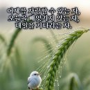 1구역 [5/31(일) 72가정 성혼기념축하 합심공명기도를 드렸습니다.] 이미지