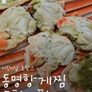 돌아온속초홍게 네이버블로그