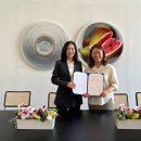 메디우스 이미지