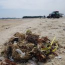 바람아래솔 이미지