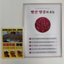 코코호도구미송정점 | [구미/송정] 꼬수운 디저트 맛집 "땅콩빵" 솔직후기