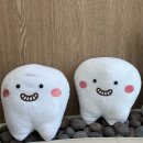 최치과의원 이미지