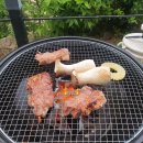반디&블루 티스토리