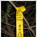 신풍1 Daum카페