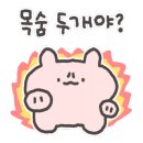페탈왁싱 이미지