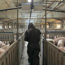 상생축산 이미지