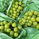 이수영농장 이미지