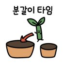 꽃말호프 이미지
