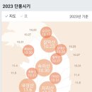 2023년 단풍지도 이미지