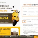 고고에프엔디 이미지