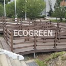 원주초등학교 이미지