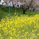 주산목장 이미지