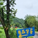봉즈살롱캠핑 이미지
