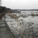 버들낚시터 이미지