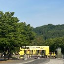 첫 마라톤! 미니언즈 런 2025 서울 5km 완주 후기!