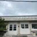 뮈르 | 제주 서귀포 감성 카페 추천❗️ 여행 중 가장 좋았던 카페 '뮈르' 내돈내산 후기