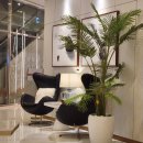 파리바게뜨 부산금융단지 | 부산 건강검진센터 연세미래IFC검진센터 솔직 후기(ft. 예약 방법, 세라젬)