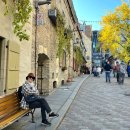 몬트리올 이미지