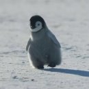 모아슈퍼 이미지