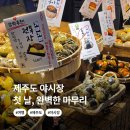 우도수산 | 제주도 야시장 / 동문재래시장 / 제주핫플 / 아베베 베이커리 / 동문 올레 수산시장