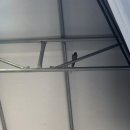 둥지세차장 이미지