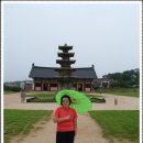 신한국가구 | 연아사랑(부여정림사지)