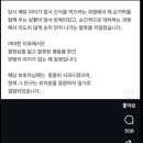메리펫 애견유치원 이미지