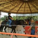 서령초등학교 이미지