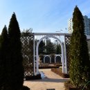 고인돌 공원 이미지