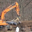 우종 축산 연합뉴스