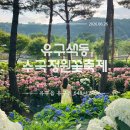 유구 구시장 공중화장실 | [공주/관광] 유구 매년 축제 끝나고 가면 좋은 나홀로 유구색동수국정원