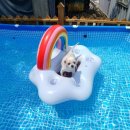 바닷가로뎀나무펜션 이미지