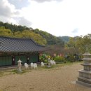 죽림사 - 포항시 북구 | 죽림사
