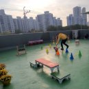 아껴줄개 이미지